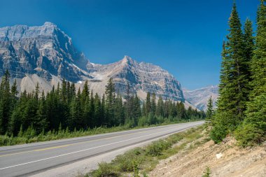 Buzsahaları Otoyolu, Banff Ulusal Parkı, Kanada