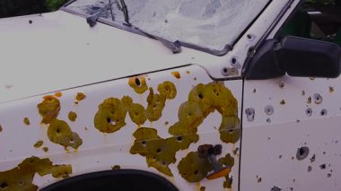 Kurşun delikleri ve parçalanmış camları olan ağır hasarlı bir araca yakından bakın.