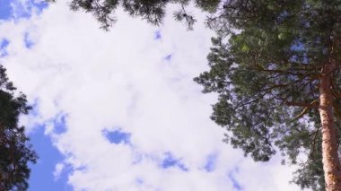 Kümülüs bulutları mavi gökyüzünde süzülürken doğal manzara bir simetri deseni sergiliyor. Güzel bir meteorolojik olay.