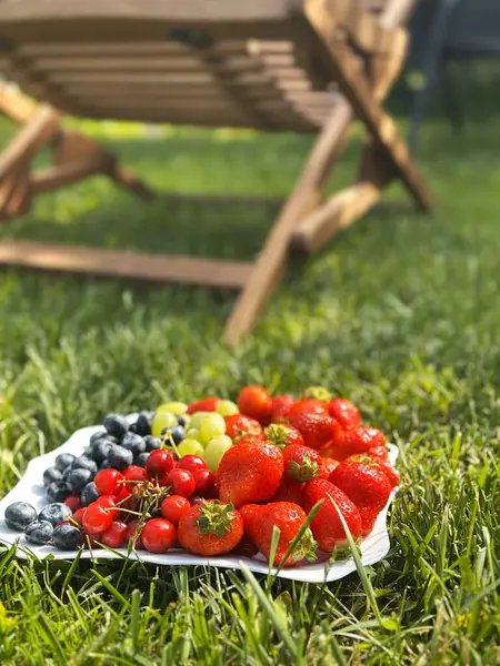 Taze çilek, yaban mersini ve üzümlerden oluşan canlı ve renkli bir vitrin güneşli, yeşil bir çimenlikte düzgünce dizilmiş.