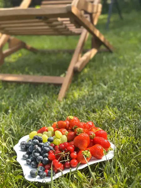 Güneşli bir açık hava ortamı ile çevrili taze meyvelerden oluşan canlı ve renkli bir tabak.