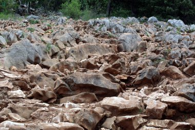 Dağlık Orman Arazisinde Rocky Yürüyüş Yolu