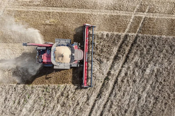 Olgun Buğday Hasat Eden Bir Hasatçının Üst Görüntüsü Tarım — Stok fotoğraf