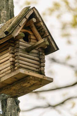Kuş yuvası ağaçtaki ahşaptan yapılmış, şık bir kuş yuvası..