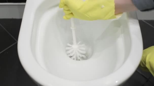 Strofinare Tazza Ceramica Con Spazzola Toilette Mani Della Donna Gomma — Video Stock
