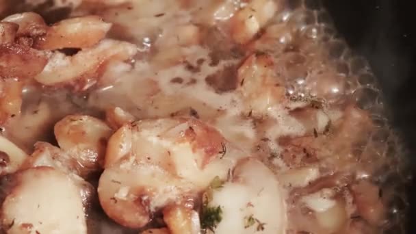 シチューはソースで鍋にキノコをみじん切り 冷凍キノコの調理 — ストック動画