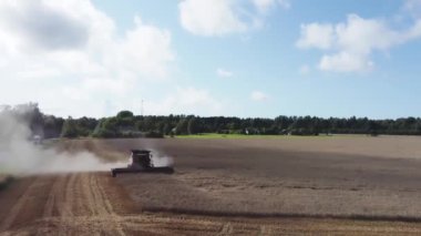 Kırmızı hasat makinesini tarlada olgunlaşmış buğday hasat ediyor. Tarım