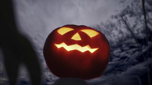 Светящаяся Тыквенная Статуэтка Кукурузном Поле Фоне Ночного Облака Концепция Хэллоуина — стоковое видео