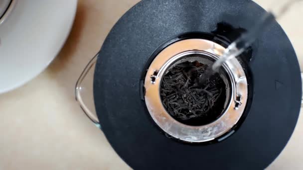 Delicioso Chá Ervas Preto Fabricado Bule Vidro Cozinha — Vídeo de Stock