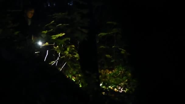 Espía Una Mujer Caminando Por Bosque Nocturno Con Una Linterna — Vídeo de stock