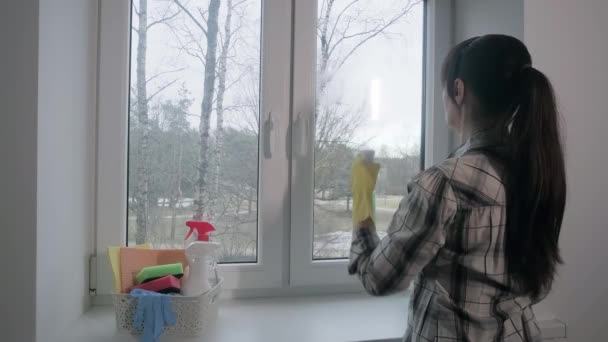 Kvinna Tvättar Glas Vårstädning Hushållssysslor Hushållsarbete — Stockvideo