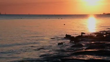 Close-up of a large industrial ventilator with metal  blades in a factory. Factory building ventilation.