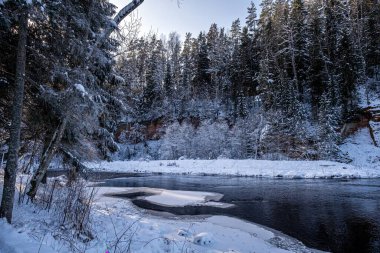 Winding river under the ice. Winter forest and river landscape in snowy nature. 