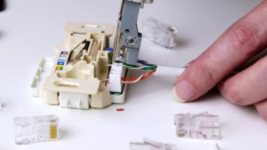 LSA yumruk indirme aracı ethernet soketi kullanarak prefabrik RJ45 modülüne bir ağ kablosu yerleştiriliyor
