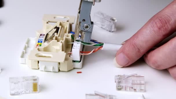 Installing Network Cable Prefabricated Rj45 Module Using Lsa Punch Tool — Vídeo de Stock