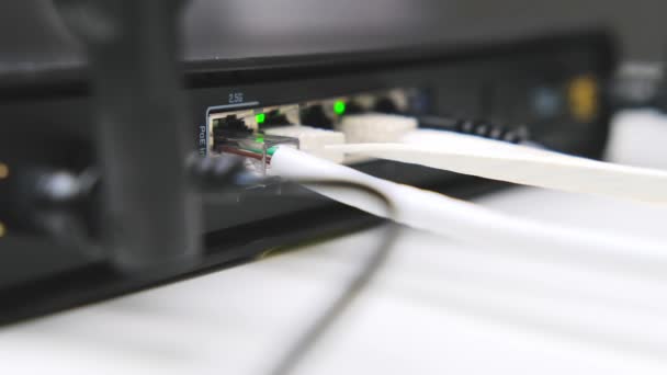 Close Cabo Conectado Roteador Brilhando Leds Verdes Roteador Ethernet — Vídeo de Stock