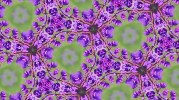 彩色万花筒 一束紫色的花 相邻在一起 — 图库视频影像