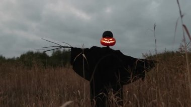 Bir korkuluk kafasında bir balkabağıyla bir tarlada duruyor..