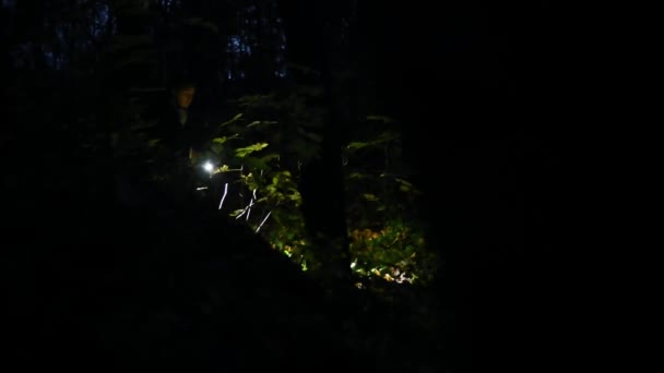 Woman Flashlight Night Forest Walk Dark Forest — Stock Video