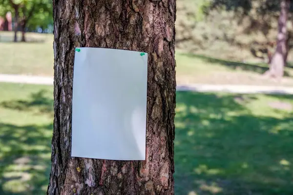 Stock image Blank white sheet of paper notice at the bark of tree. Advertising mockup.