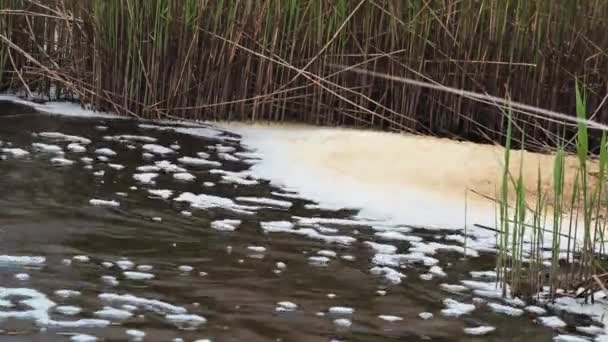 표면에 안개가 자욱해 하수에서 하수로 들어가는 뒤덮여 — 비디오