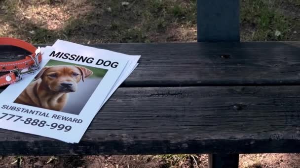 Bank Staat Een Oranje Halsband Een Bericht Een Vermiste Hond — Stockvideo