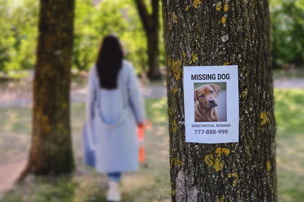 Женщина Поводком Ищет Потерянного Питомца Развешивая Плакаты Парке — стоковое фото