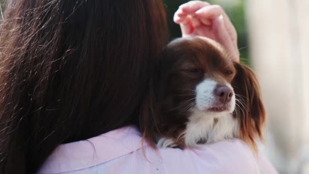 Woman Holds Small Dog Her Hands Outdoors Love Animals — Vídeos de Stock