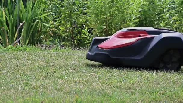 Lawn Robot Mows Green Lawn Robotic Lawn Mower Mows Grass — Stock video
