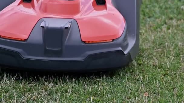 Lawn Robot Mows Green Lawn Robotic Lawn Mower Mows Grass — 图库视频影像