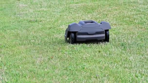 Lawn Robot Mows Green Lawn Robotic Lawn Mower Mows Grass — стоковое видео