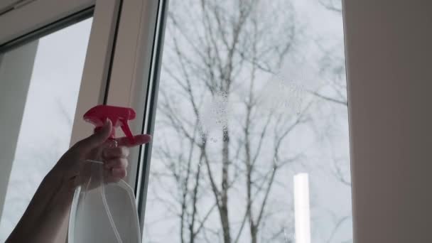 女性は家で窓を洗い クローズアップ 家庭用チェア スプリングクリーニング — ストック動画