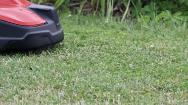 Çim robotu çimleri biçiyor. Robot bir çim biçme makinesi bahçedeki çimleri kesiyor..