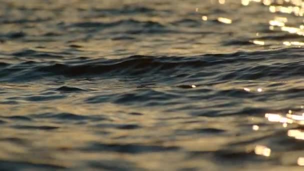 Suprafața Albastră Oceanului Scurgeri Blânde Suprafață Refracția Luminii Apusul Soarelui — Videoclip de stoc