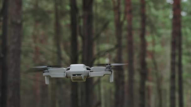 空中にドローンが飛んでいる カメラを持ったドローンで 森でビデオを撮ります — ストック動画