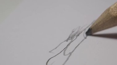 Minimalist Ayarlarda Beyaz Kağıt Üzerine Kalem Çizimlerinin Kapanışı