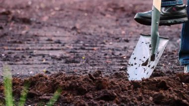 Bahçede kürekle toprak kazan, bahçeyi renklendiren, toprak hazırlayan ve açık havada çalışan birinin yakın çekimi..