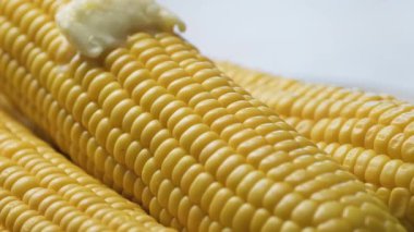 Parlak Minimalist Mutfak Ayarlarında Eriyen Tereyağı ile Taze Sarı Mısır Koçanlarının Yakın Çekimi