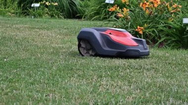 Otomatik Robot Çim biçme Makinesi Çiçeklerle dolu canlı bir bahçede çimenleri etkili bir şekilde kesiyor