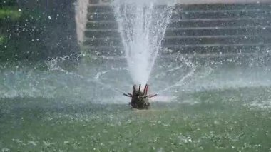 Dinamik Su Fıskiyesi Şehir Parkı Parkı Parkı 'nda Yeşil Çevreli ve Rahatlatıcı Atmosferli Su Sıçrıyor