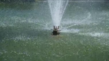 Su fıskiyelerinin açık havada huzurlu bir ortamda canlı damlacıklar püskürttüğü yakın çekim görüntüsü.