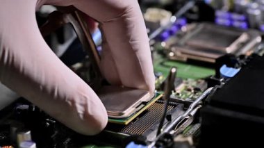 Eldiven takan bir teknisyen bilgisayar ana kartına bilgisayar donanımı montajı ve onarım işlemlerini gösteren bir işlemci yerleştirir..