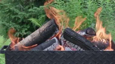 Açık Metal Ateş Çukuru 'ndaki Yanan Odunların Yakın Çekimi Doğal Ayarlarda Yeşillik ile çevrili