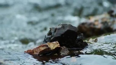 Huzurlu bir nehir ortamında akan suyla Pürüzsüz Taşların Yakın Görüntüsü