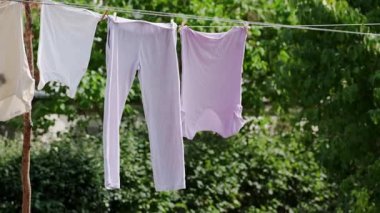 Taze yıkanmış giysiler açık havada asılı güneşli bir günde yeşillik arka planında