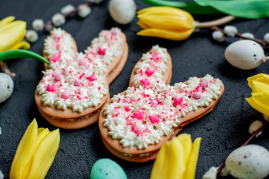 Yumurtalı Paskalya Tavşanı şekilli kurabiyeler, kavramsal görüntü