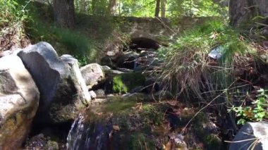 Troodos Dağı 'nın suları ormanlardan geçerken Kıbrıs Rum Kesimi' nde su sıkıntısı yaşanıyor.. 