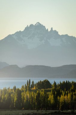 Güneşli bir yaz gününde, göl ve çam ağaçlarıyla çevrili karlı zirvesi olan bir dağ. Dikey fotoğrafçılık. Los Antiguos, Patagonya, Arjantin