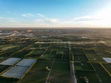 Arkasında büyük uçurumlar olan tarımsal alanların havadan panoramik görüntüsü. General Roca, Rio Negro, Arjantin