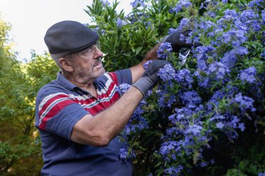 Emekli son sınıf öğrencisi bahçesinde çiçek buduyor. Emeklilik konsepti sırasında neşeli